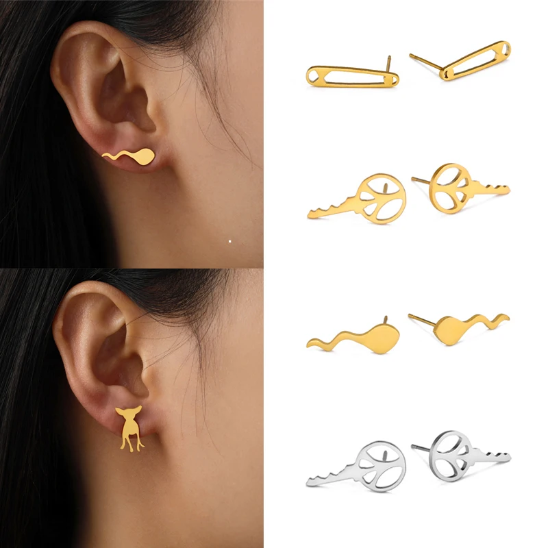 Edelstahl Ohr stecker für Frauen Mädchen Hund Schlüssel form Ohr Piercing Schmuck Statement Ohrringe Trend Aretes de Mujeres