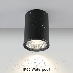 Luz LED de techo impermeable para exteriores, foco COB montado en superficie IP65 para balcón, porche, Hotel, Villa, cocina y baño