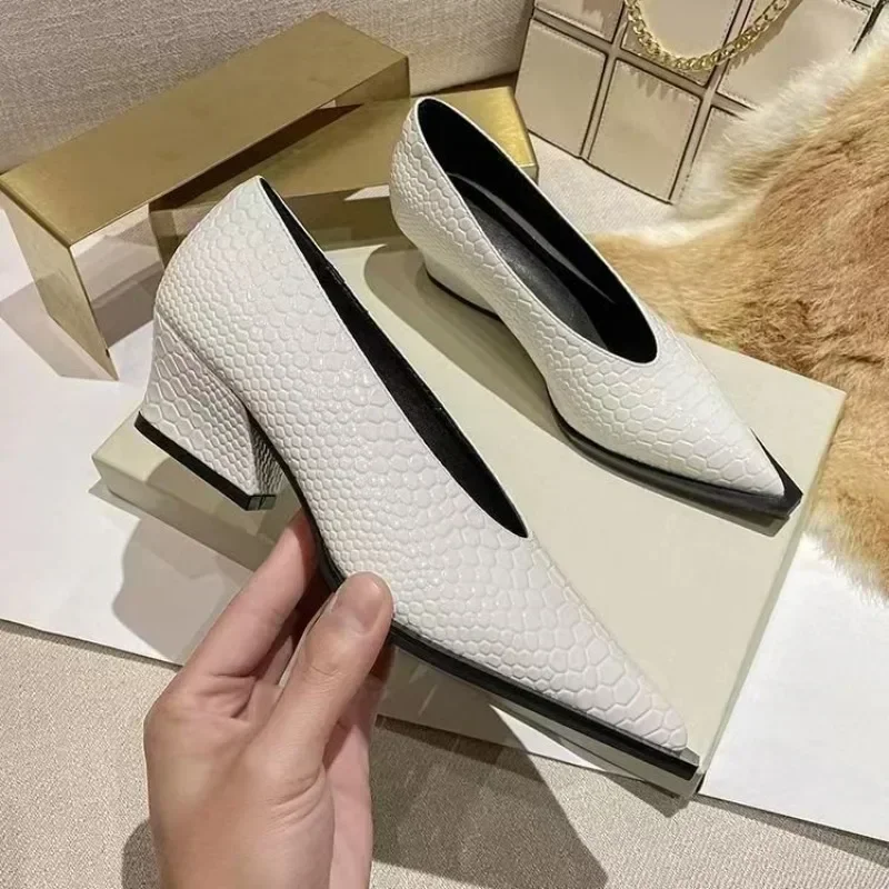 Scarpe da donna singole in pelle verniciata con scollo a V Tacco spesso a punta Tacchi alti Primavera e autunno Scarpe retrò versatili Moda donna Novità