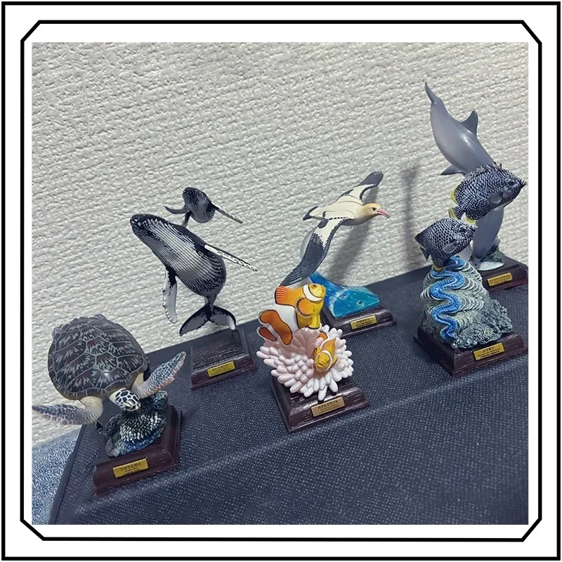 

Dolphins Humpback Whale Miniature Marine Life Gashapon Ornament Cute Decoration Action Figure Model Toys