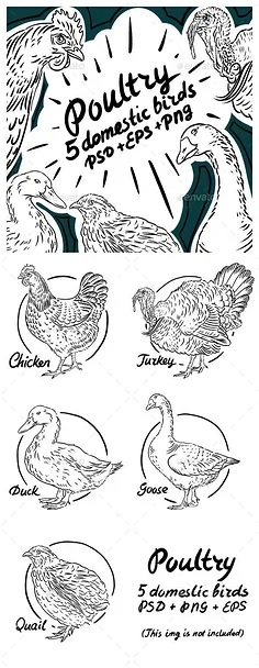 

1/10 RC Racing Car Wheels Rally Tyre & On Road Tires 12mm Hex for Tamiya XV01 XV02 TA06 TT01 TT02 PTG2 144001 A959 HPI