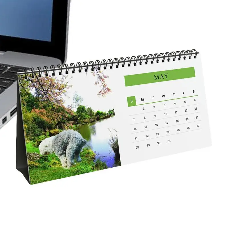 Funny Dog Calendar Dog Poop Prank Calendar Multi-Purpose Humorous Gifts Eye-Catching Clear Printing On Glossy Paper For