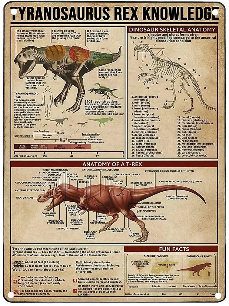 

Tyranosaurus Rex Knowledge Retro Metal Tin Sign Anatomy Of A T-Rex Printing Poster Cafe School Home Education Living Room Bedroo