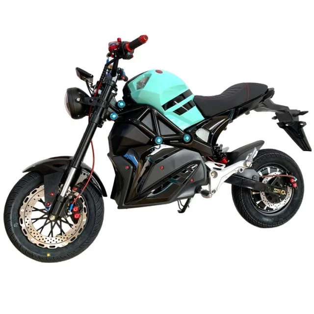 Electric Motorbike Retro Motor Sport 2000W with Adult