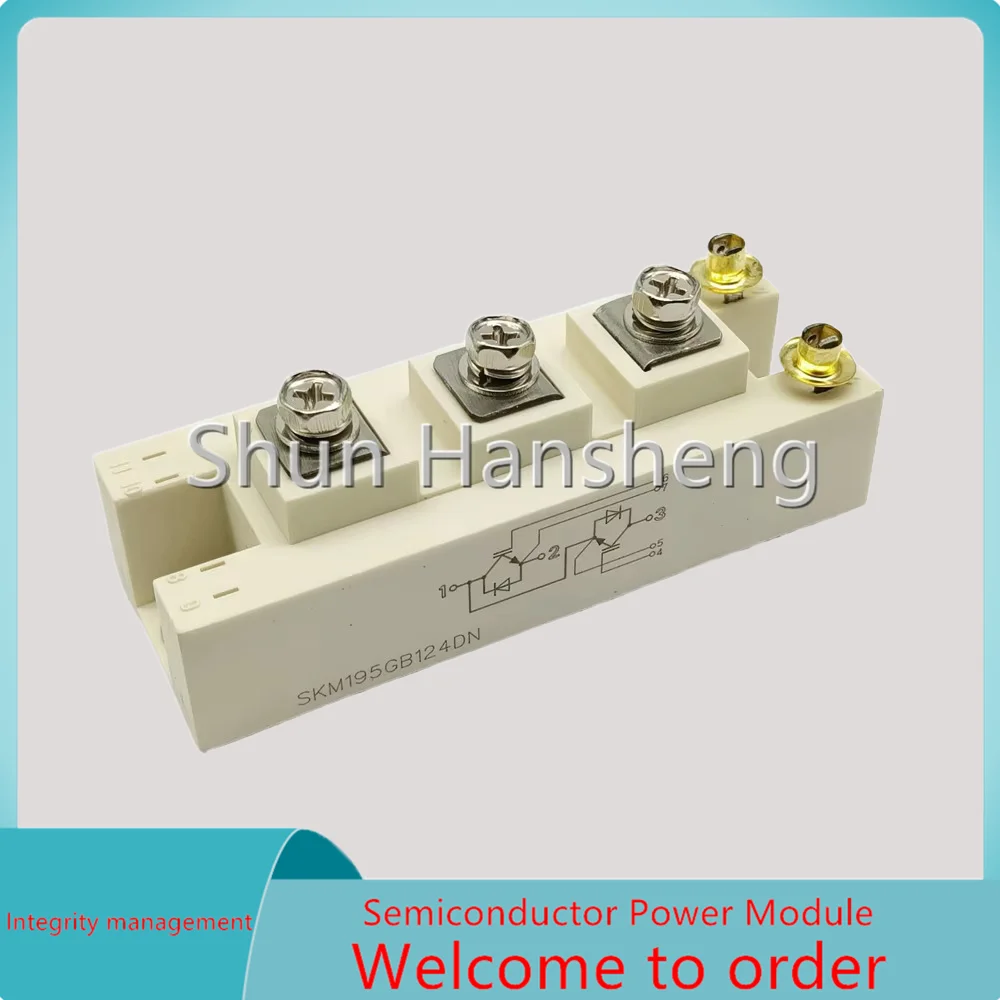 skm195gb063dn-skm150gb063d-skm195gb124dn-skm195gb126d-skm195gb126dn-skm195gb066d-skm145gb123d-モジュール