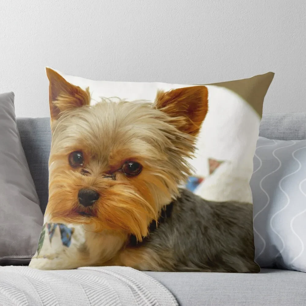 

Yorkshire Terrier & Quilt Throw Pillow christmas supplies bed pillows