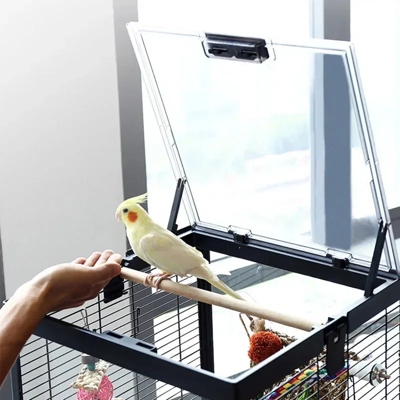 Outdoors Large Bird… - image