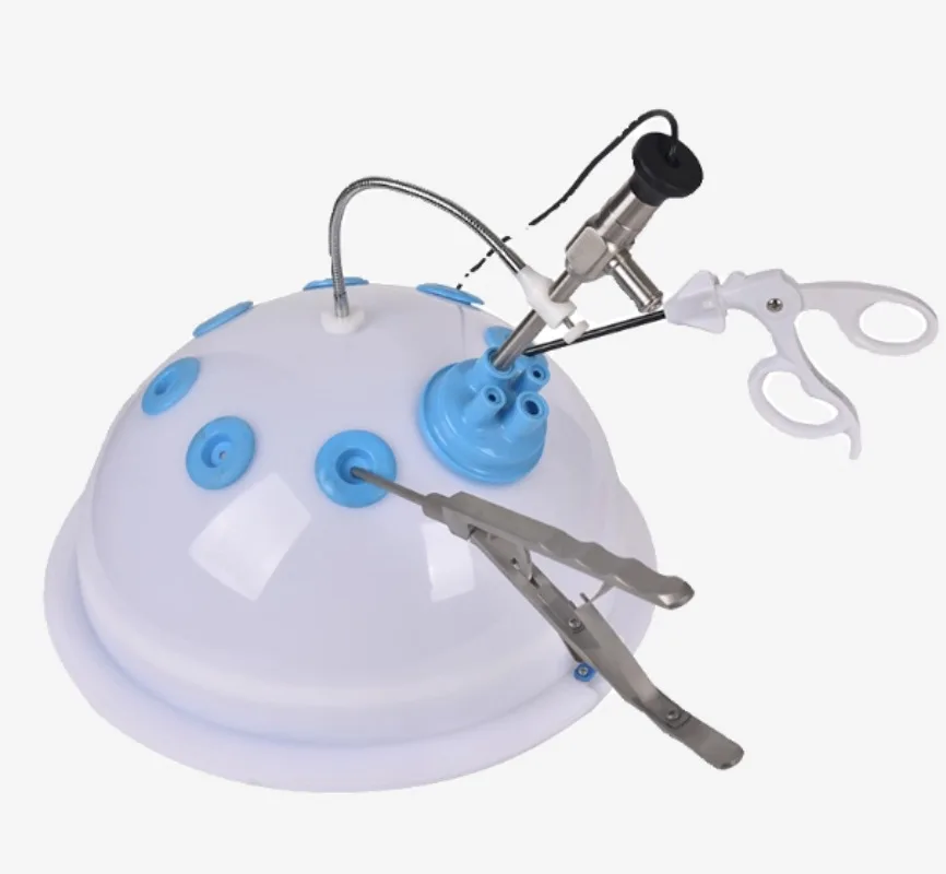 

surgery simulation training instrument single hole/hemisphere simulation training box