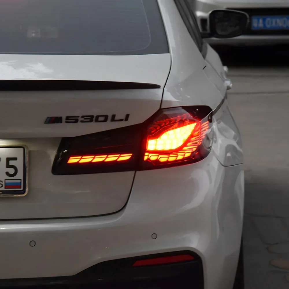 لسيارات BMW 5 Series G30 G38 530i 540i 550i 2018-2020 LED مجموعة المصابيح الخلفية للسيارة ترقية مقياس التنين المزدوج ملحقات الضوء الخلفي