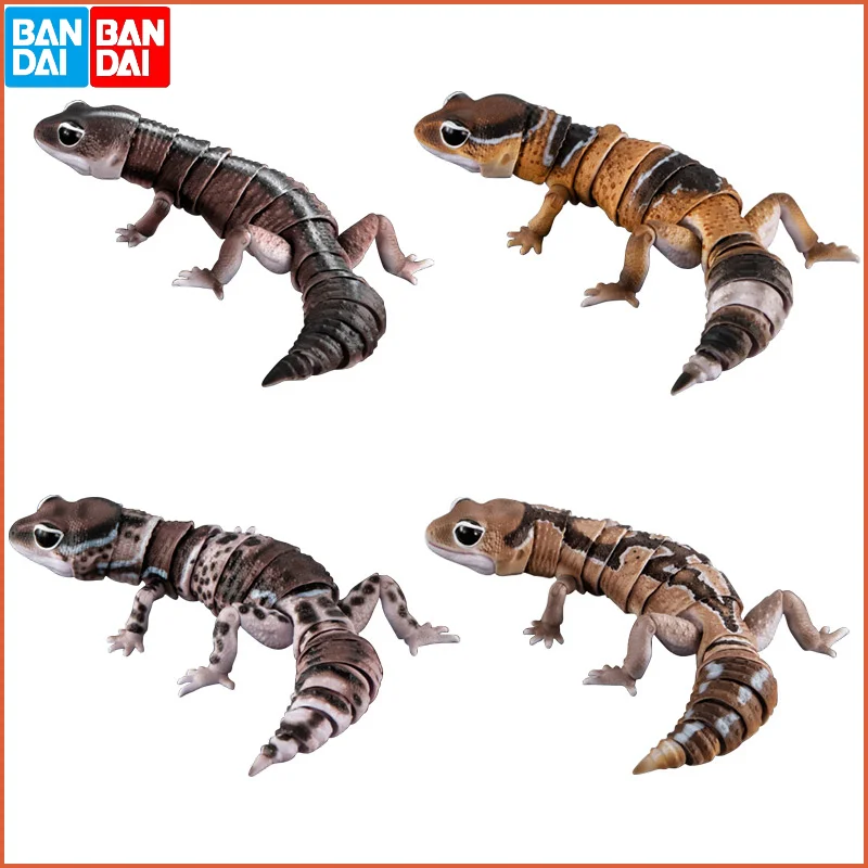 Original Bandai Gashapon Qversion Mini Big Biological Map Gekko Lizard Anime Figure Model Action Toys Collection Gifts for Kids