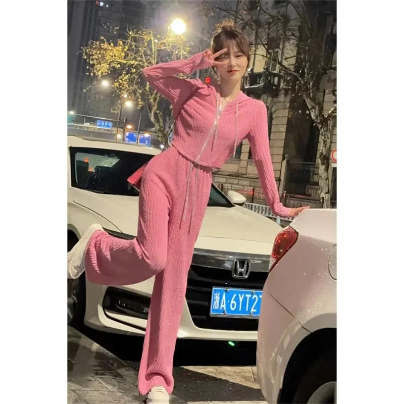 

Korean Female Solid Color Hooded Two-piece Set Summer Lady Fashion Tops Wide Leg Pants Suit 2025 Women Leisure Long Sleeves 2PCS