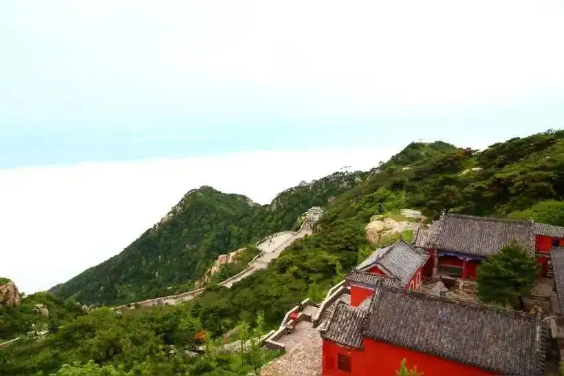 

RF HI-EMT EMS машина для моделирования тела электромагнитный стимулятор мышц машина для похудения наращивания мышц