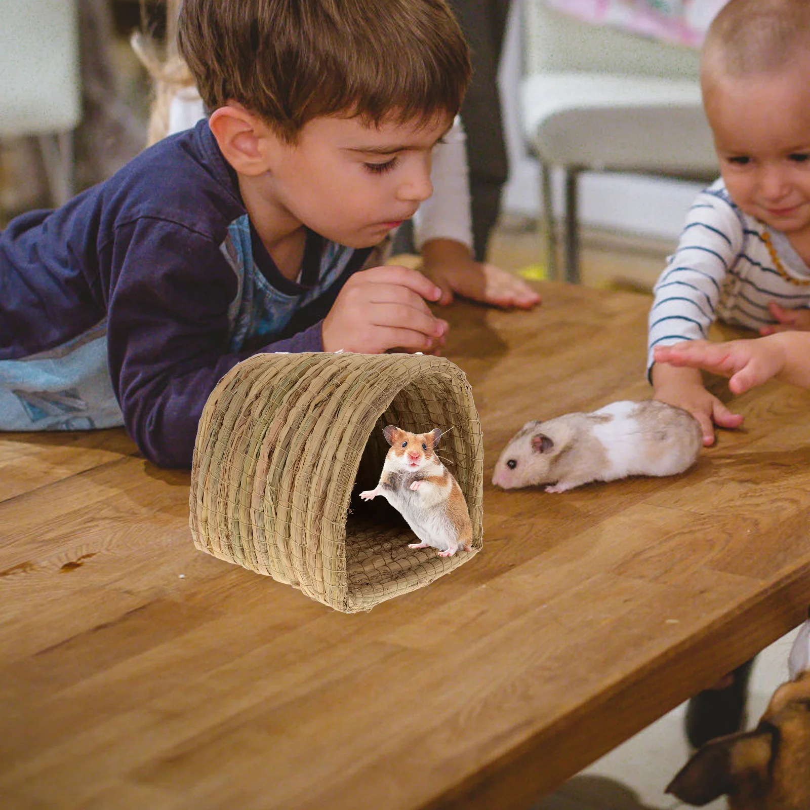 

Woven Chicken Nest Straw Material Pet Sleeping House Chinchillas Coop Small Animals Hut