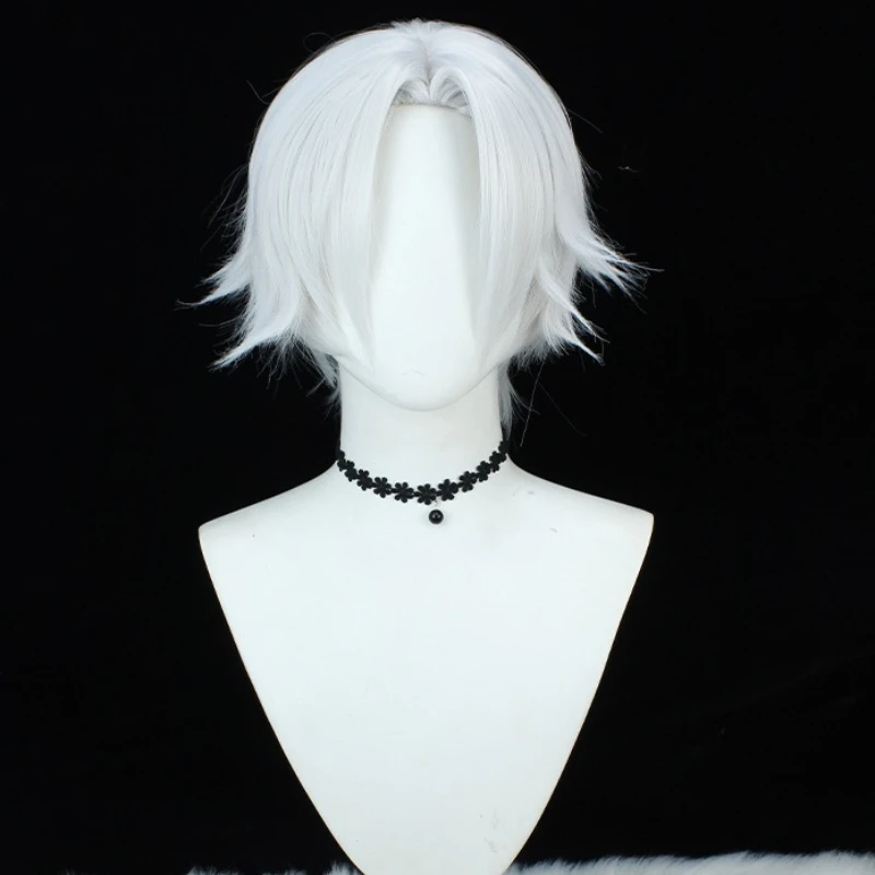 2D Anime Cosplay Wig for Comic Con, Anime Character Role Play Wig Easy To Style
