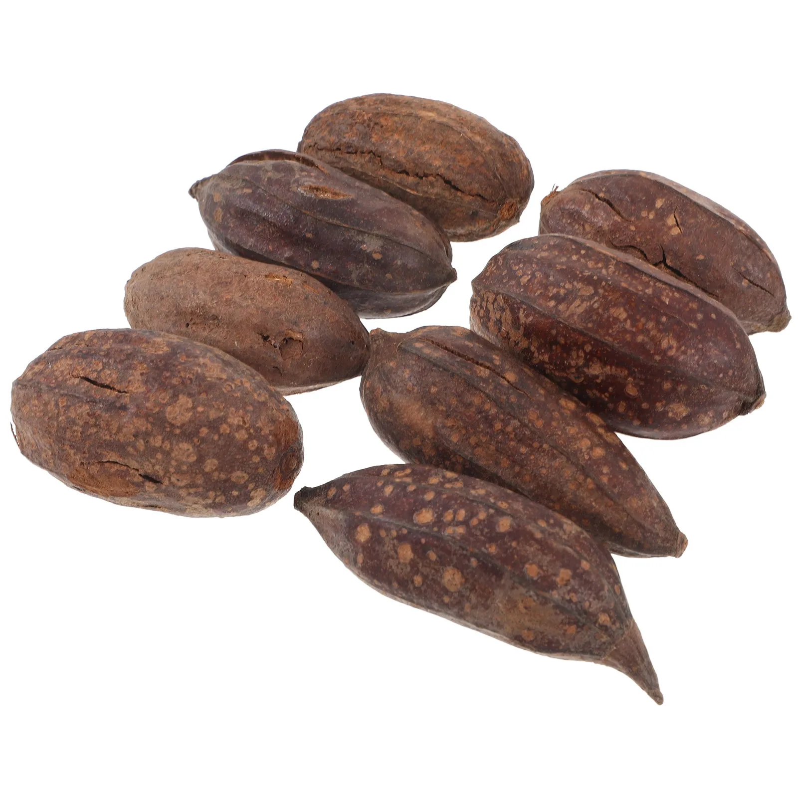 

8pcs Natural Fruit Bird Chew For Parrots Durable Foraging Parrot Chewing Shredding Cage Accessories Biting Treats