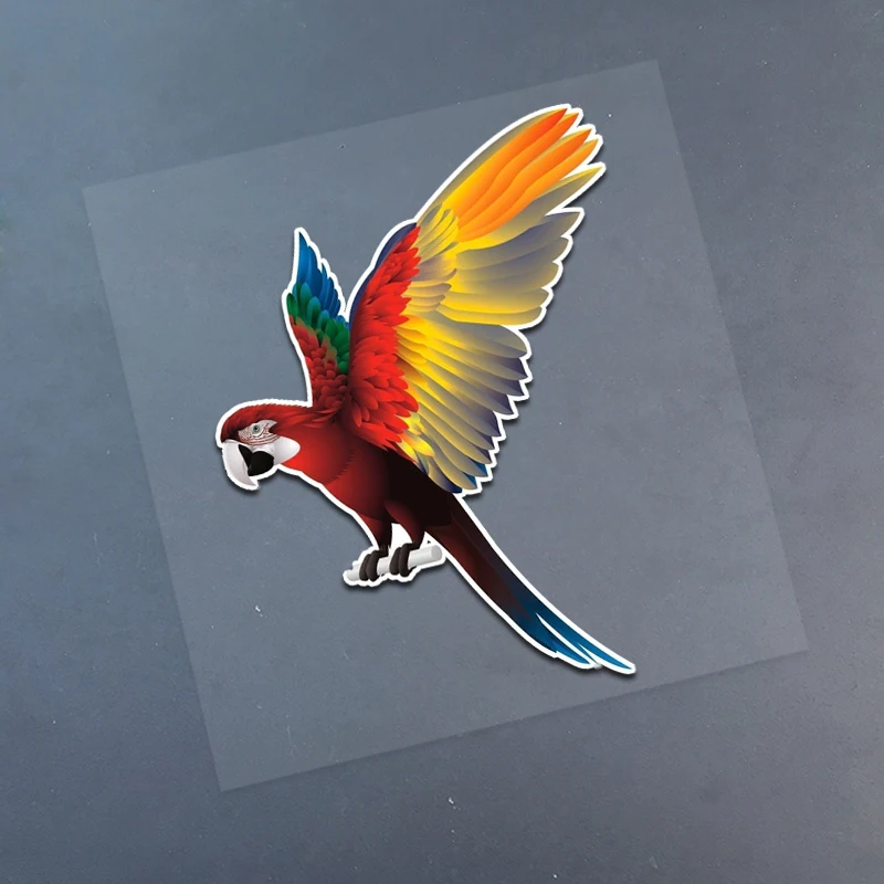 

Beauty Coloful Parrot Bird Spread Wings Car Sticker Window Trunk Vinyl Decorative Laptop Motorcycle Decals Car Accessories