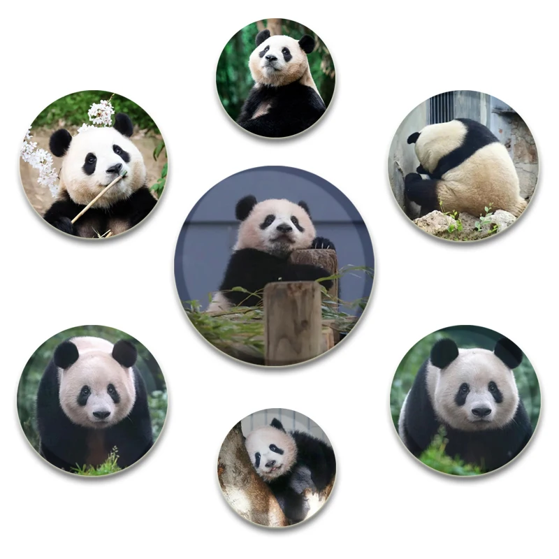 32/44/58mm Cute Pandas XiangXiang FuBao NuanNuan Round Brooch Cartoon Badge for Backpack Hat Jewelry Accessories Gifts