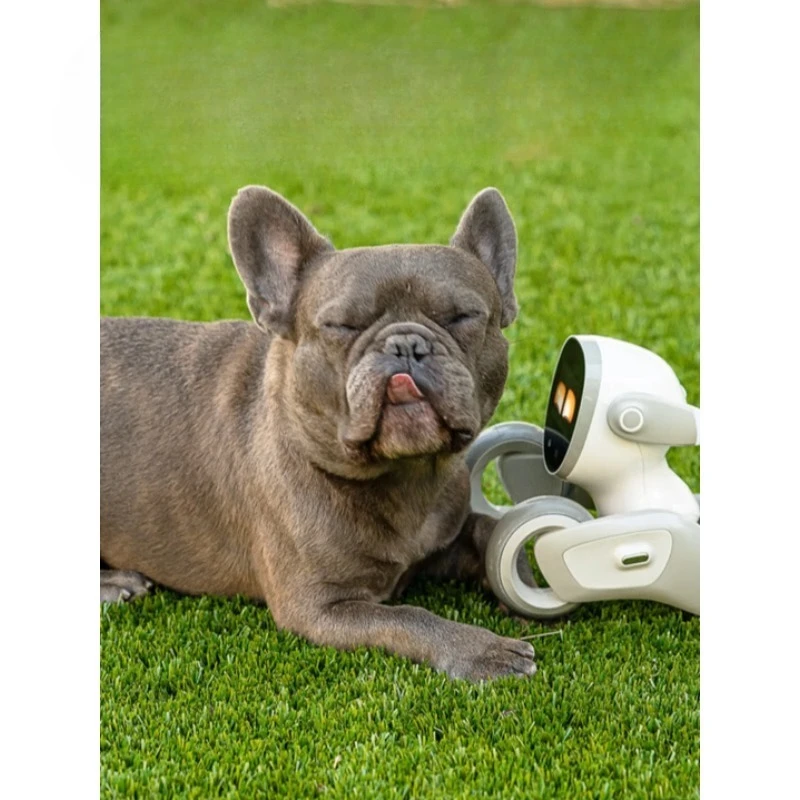 Robot dog intelligent AI robot, programming learning robot interactive toy gift