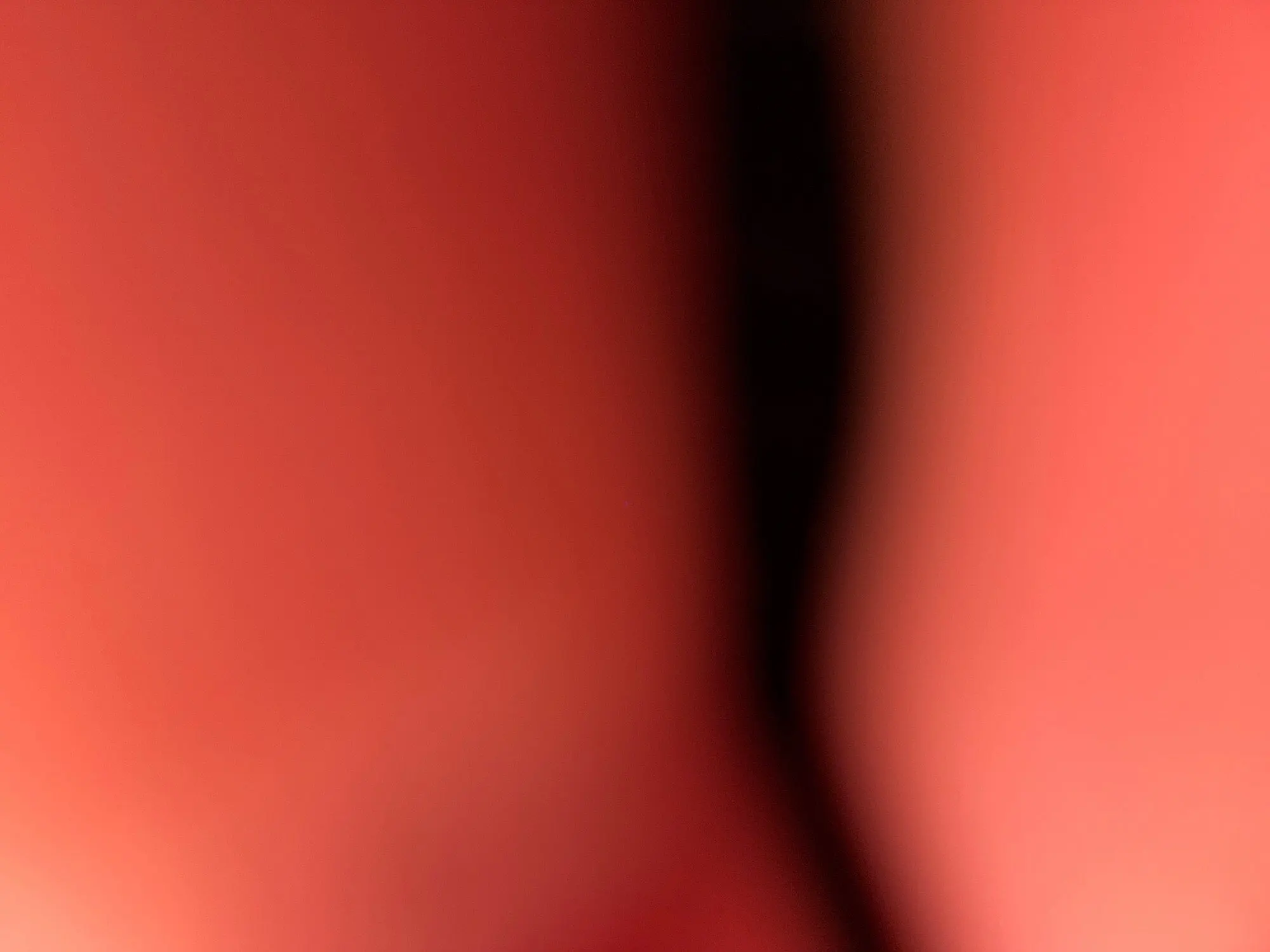 실물 포토 리뷰