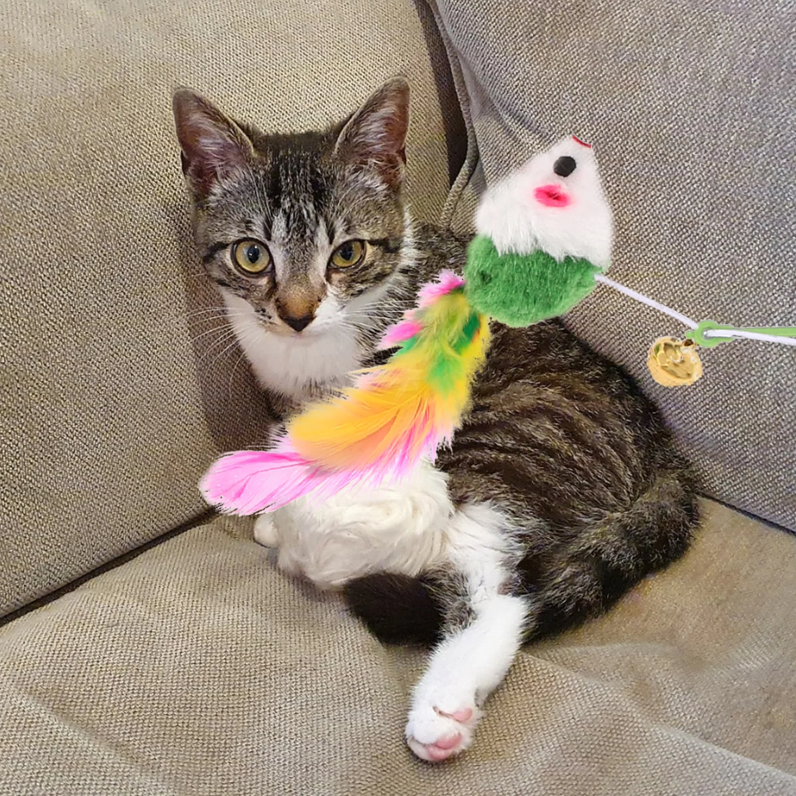 

2pcs Teaser Stick Premium Long Lasting Interactive Wand for Indoor Play Stimulation Non-Toxic Boosting Toy for Cat