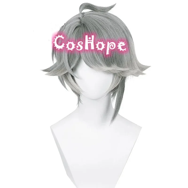 

Al Haitham 30cm Short Gray Wig Anime Cosplay Heat Resistant Synthetic Wigs