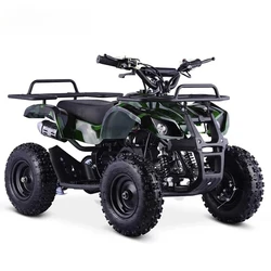 36V 2WD Kids ATV Quad Bike 49cc 2-Stroke Automatic Chain Drive Mini Four-Wheeler for Children
