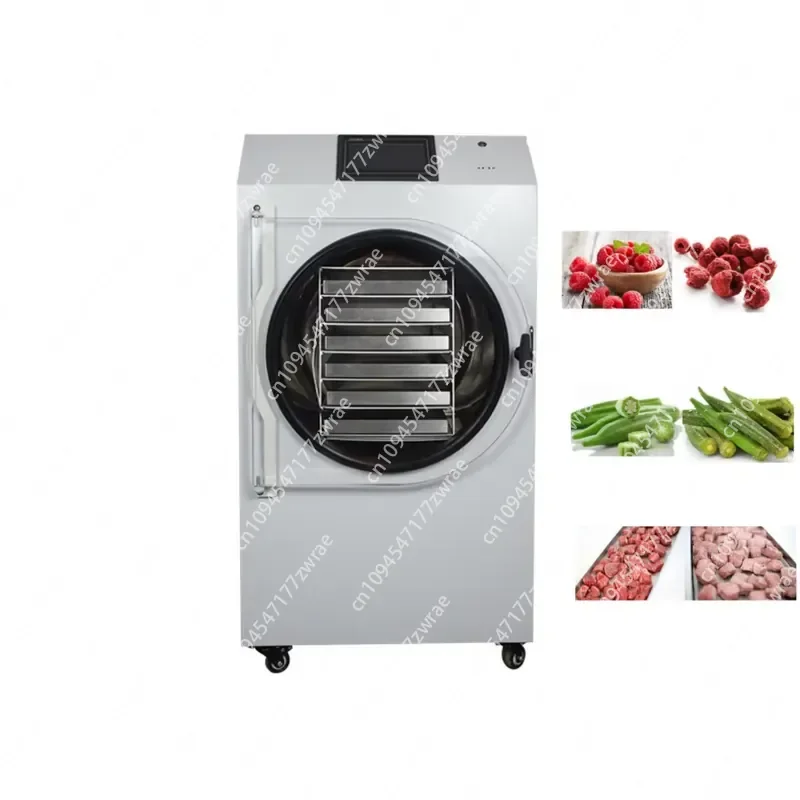 Modern 6 Tray Commercial Freeze Dryer 10Kg Capacity 2000W 220V 304 Stainless Steel -55C Cold Trap 0.65 Garden Supplies