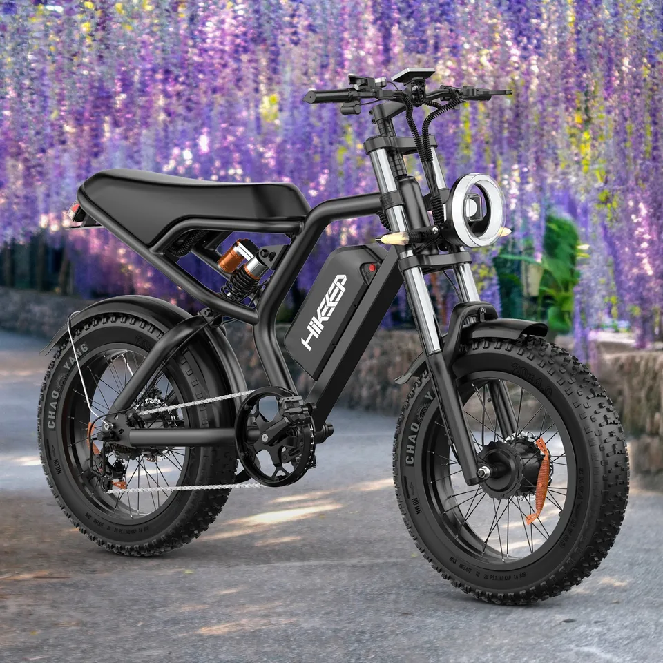 20'' Electric Bike 1500W Peak 48V 15.6Ah Adults Dual Motor Mountain ebike