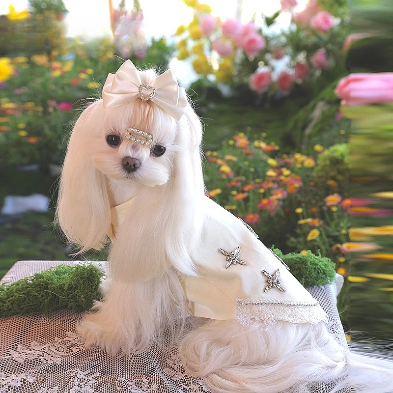 Pet clothes dog clothes mid-to-high-end pet skirts with drills small dog clothes
