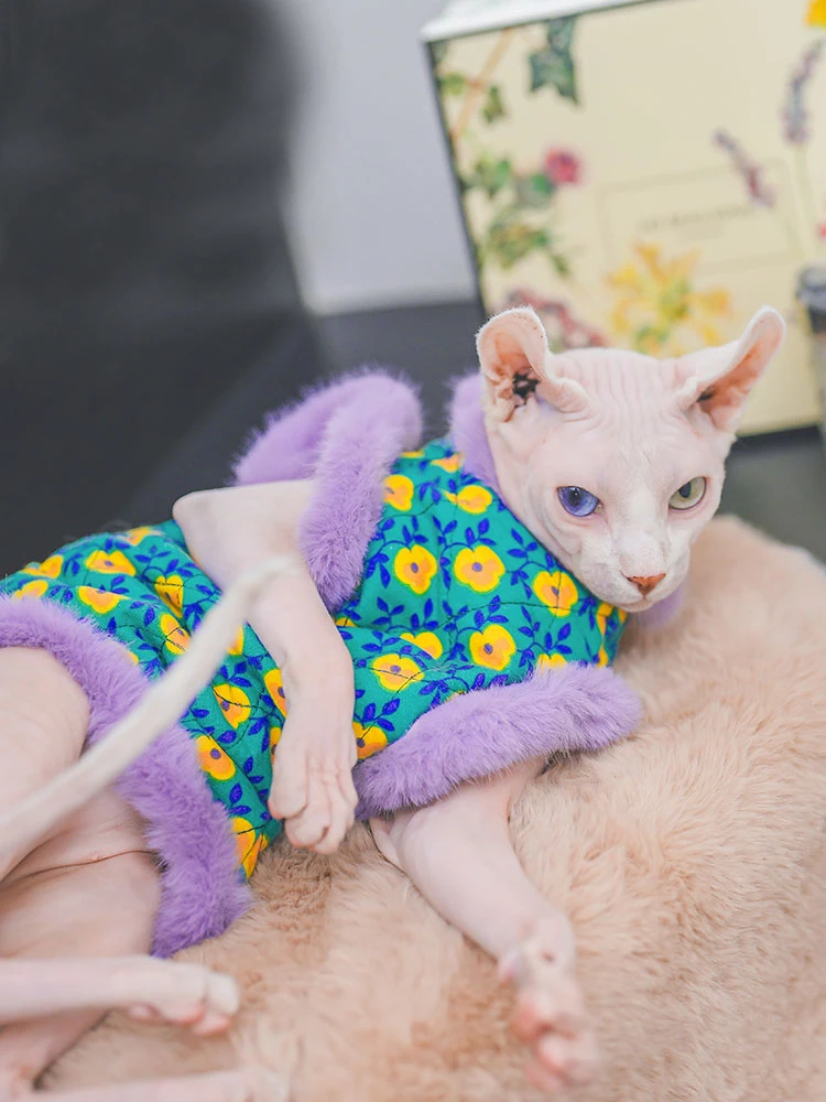 Plush Cheongsam Cotton Jacket Coat Suit for Sphynx Cat in Winter thick warm Sweater for Kittens Soft Lace Coat for Female Cat