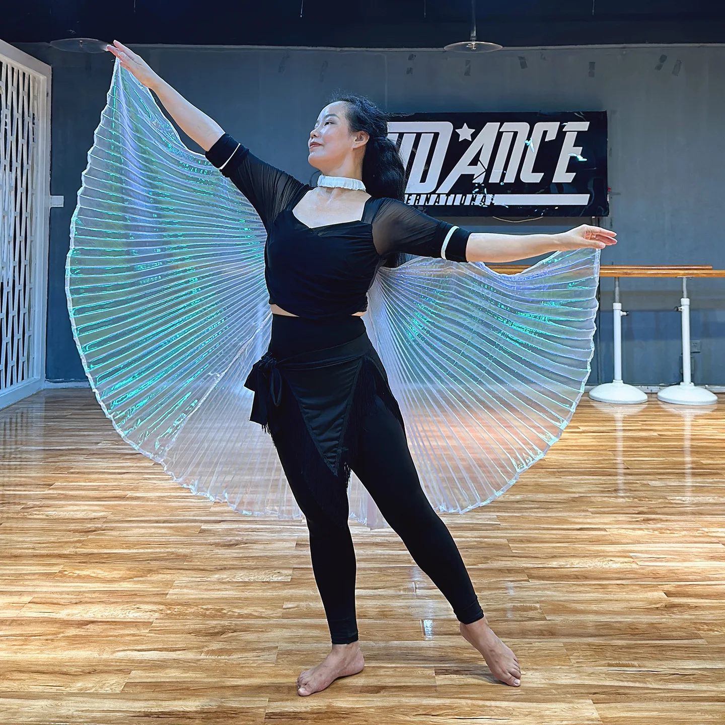 Belly Dance เสื้อผ้าตกแต่งด้านหลังปีก Hand Hook สไตล์ปีกโปร่งใส Wing Dance Performance ProPerformance อุปกรณ์เสริม