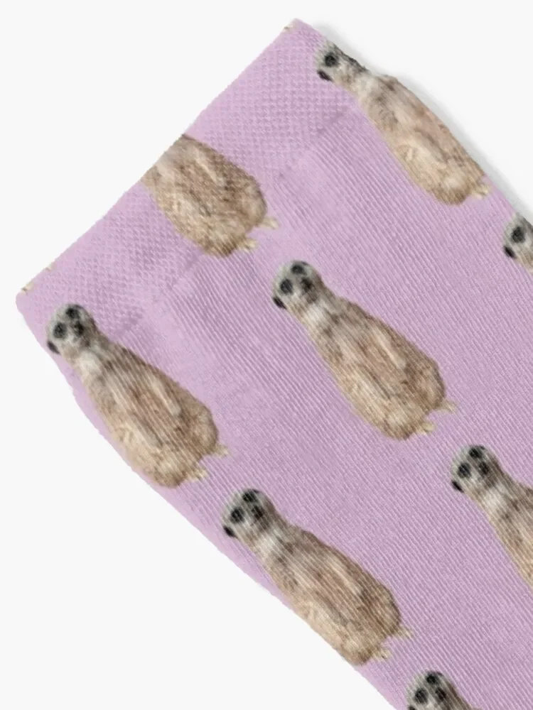 Meerkat - Cute meerkat watching the view -Pink background Socks floral Toe sports soccer anti-slip Women's Socks Men's