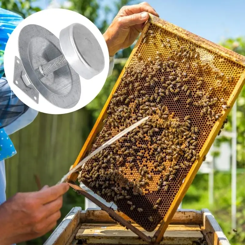 4 PCs Edelstahl Ants Proof Bessel Füße Essentielles Bienenzuchtzubehör N58D