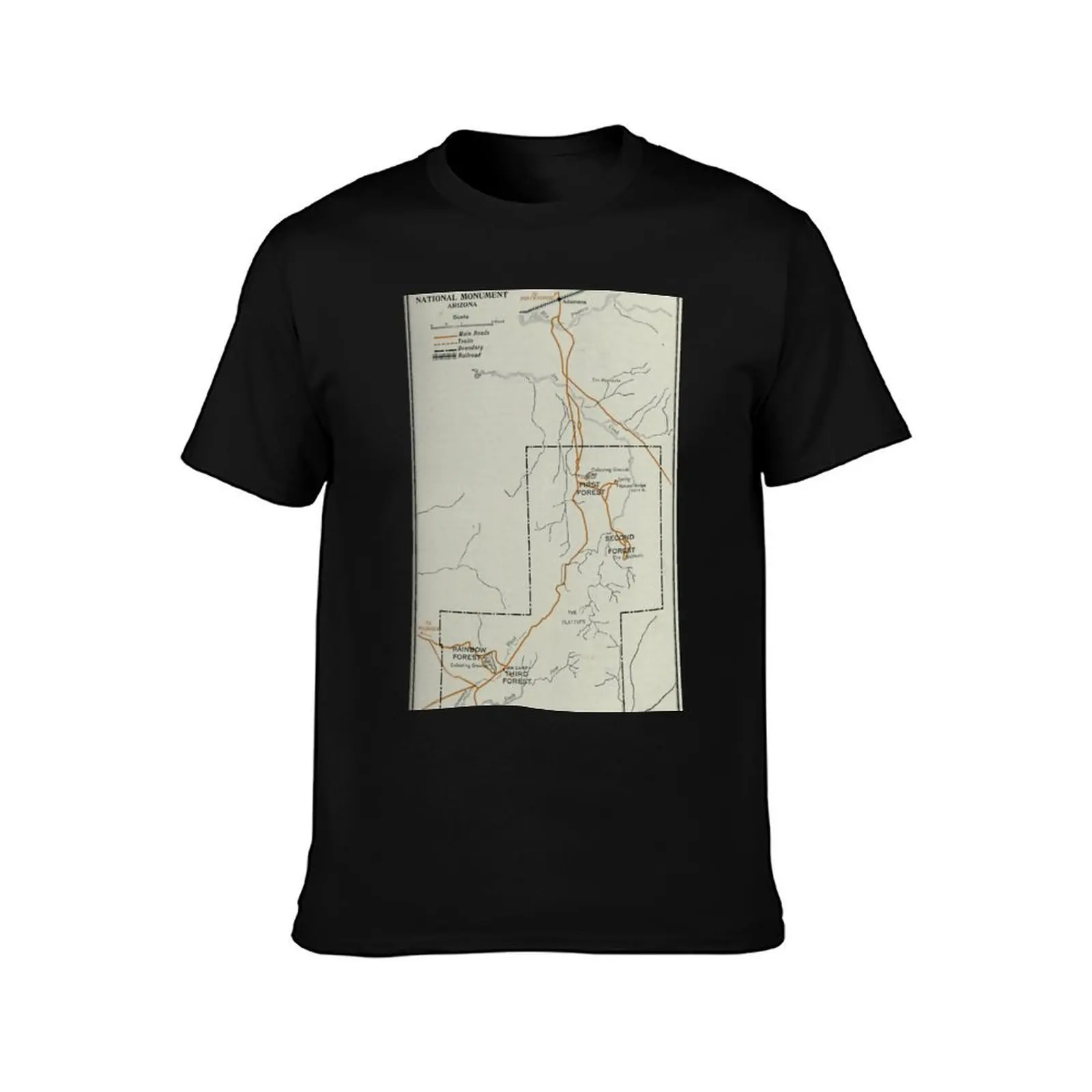 Vintage Petrified Forest National Park Map (1919) T-Shirt boys animal print anime stuff plain white t shirts men