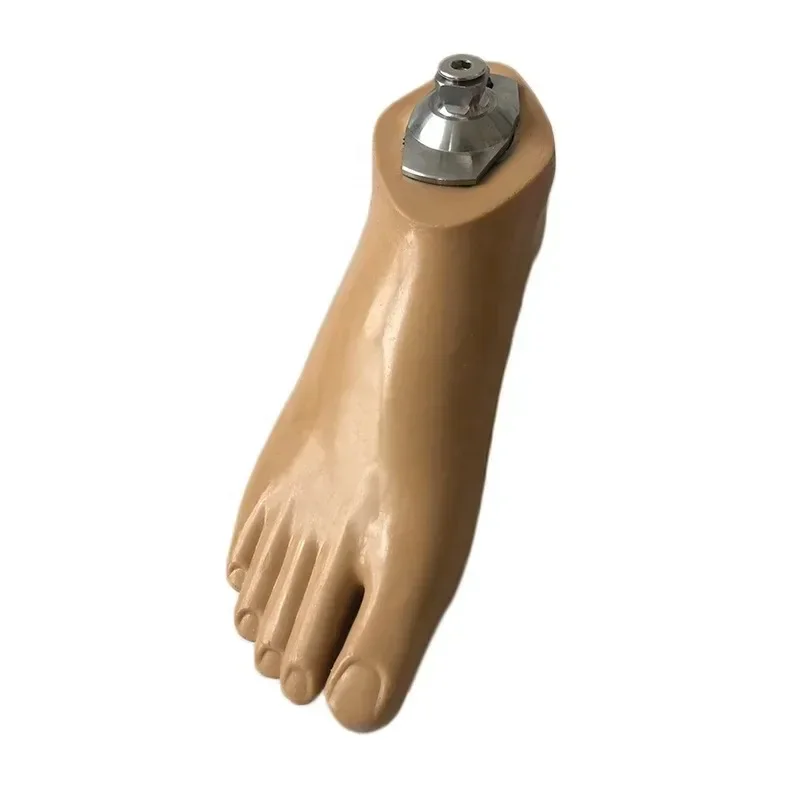 

Artificial Limbs Carbon Fiber Storage Energy Sach Foot Prosthetics Leg Foot