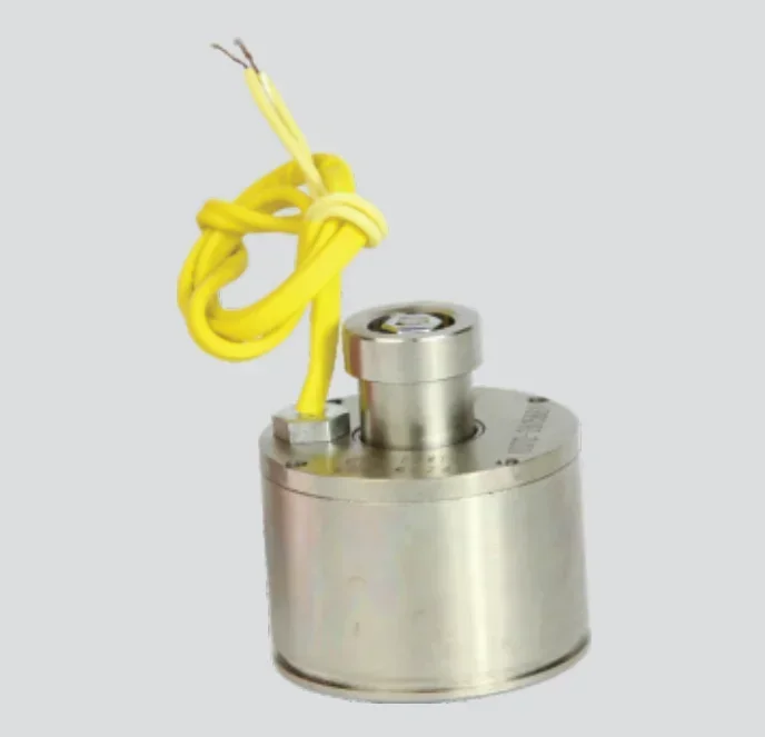 

Tool holder electromagnet DGM1 Yantai global CNC tool holder parts AK3180 DGM1-2/24V electromagnet