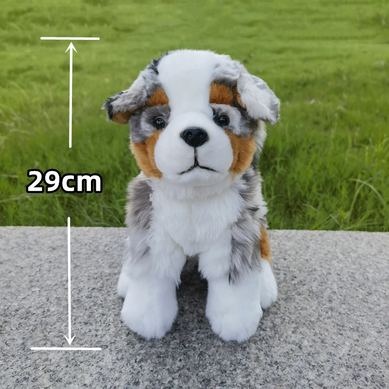 Australian Shepherd Dog High Fidelity Cute Plushie Dogs Plush Toys Lifelike Animals Simulation Stuffed Doll Toy Gifts For Kids