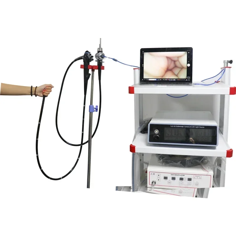 

SY-PG045 Medical Trolley Video Endoscope Gastroscope Vet Endoscopic Imaging System Gastroscope Pet Hospital Endoscopy Machine
