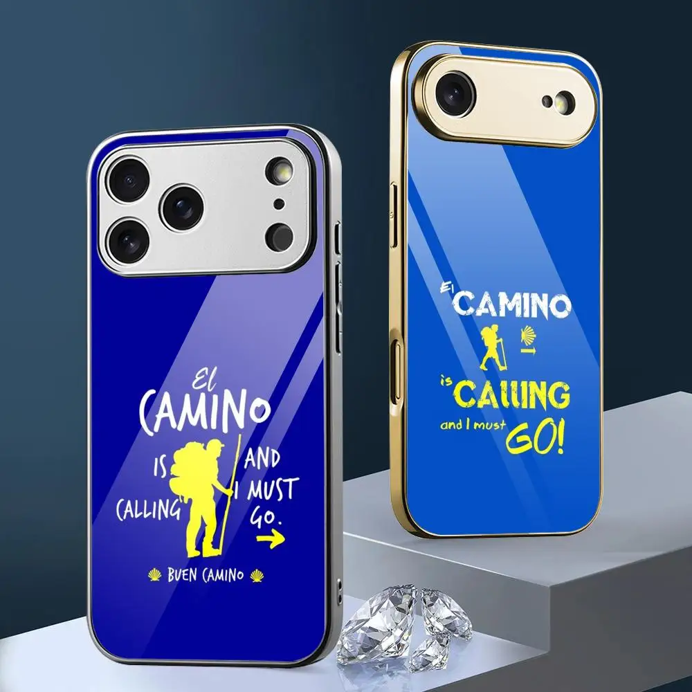 Camino De Santiago …