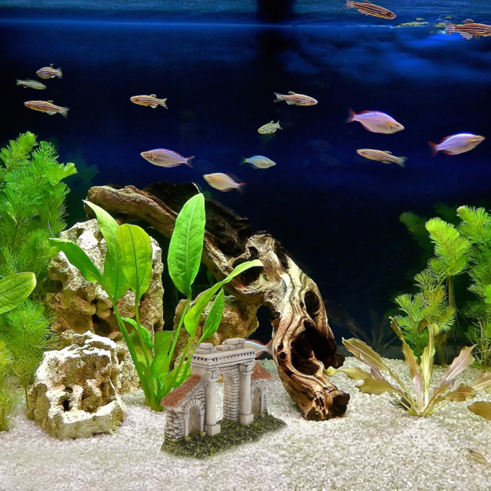 

2Pcs Realistic Resin Arch Fish Tank Ornament Lifelike Aquarium Decoration for Natural Underwater Landscape Design Bonsai and