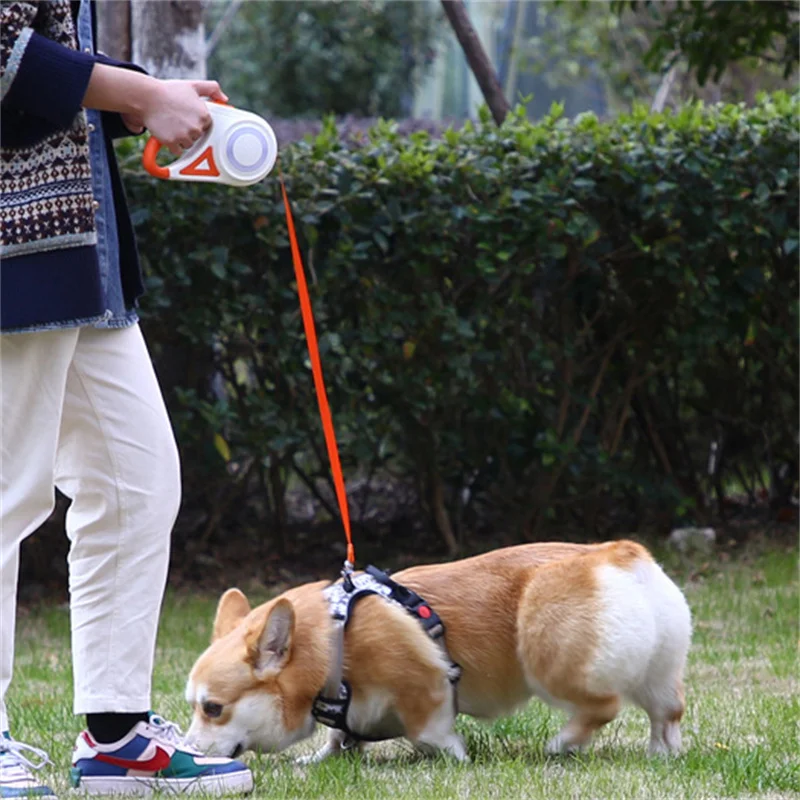 Guinzaglio per cani retrattile automatico da 5M con torcia a Led guinzaglio in Nylon resistente per cani da compagnia corda da corsa regolabile da passeggio