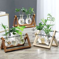 Creative Wooden Frame  Hydroponic Vase  Glass Vase Container  Tabletop  Green Plant Decoration  Flower Pot