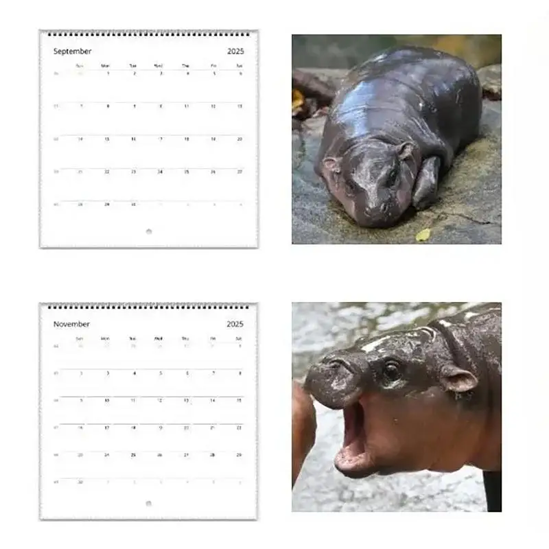 2025 Cute M-oo Deng 12-Month Calendar Art Animal Calendar 2025 Creative Hippo Wall Calendar Wall Monthly Calendar