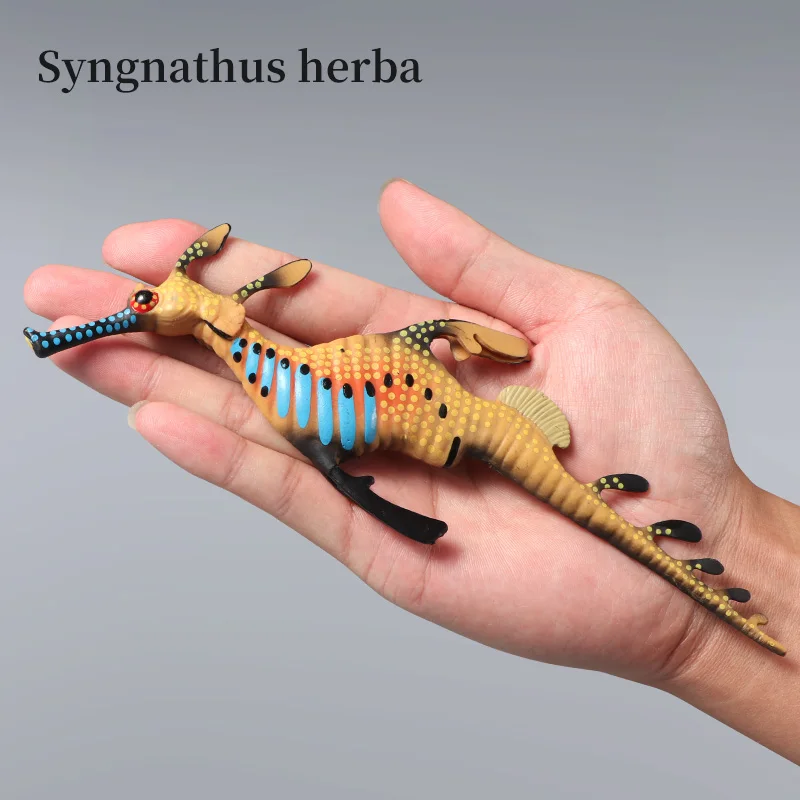 Simulação oceano hipocampo dragão do mar modelo animal marinho figura de ação pvc brinquedo colecionável em miniatura para crianças tema vida marinha
