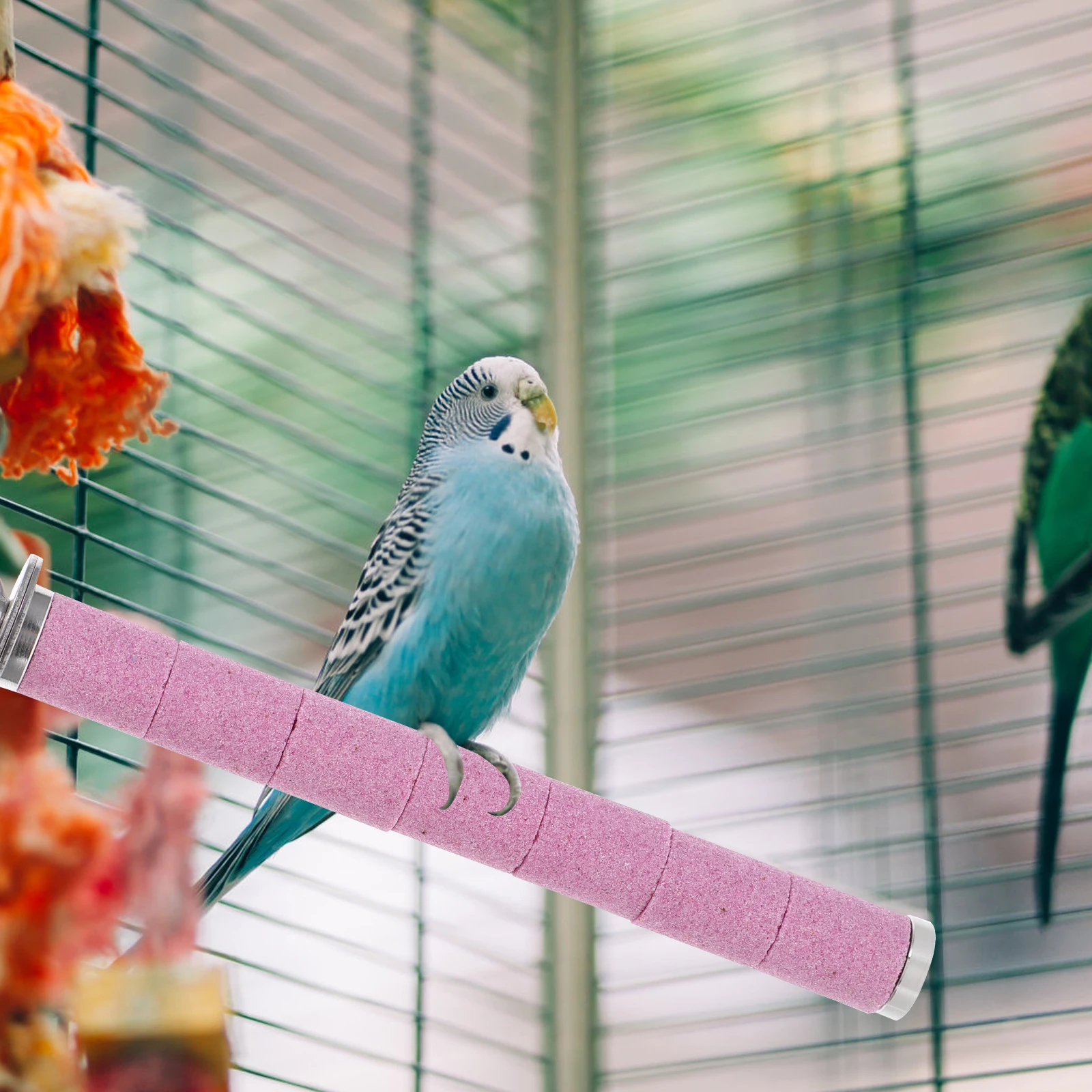 

Sturdy Bite Bird Cage Bird Cage Accessory For Parakeet Macaw For Parrot Standing Stick Parrot Perch Finch Perch