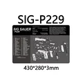 P229