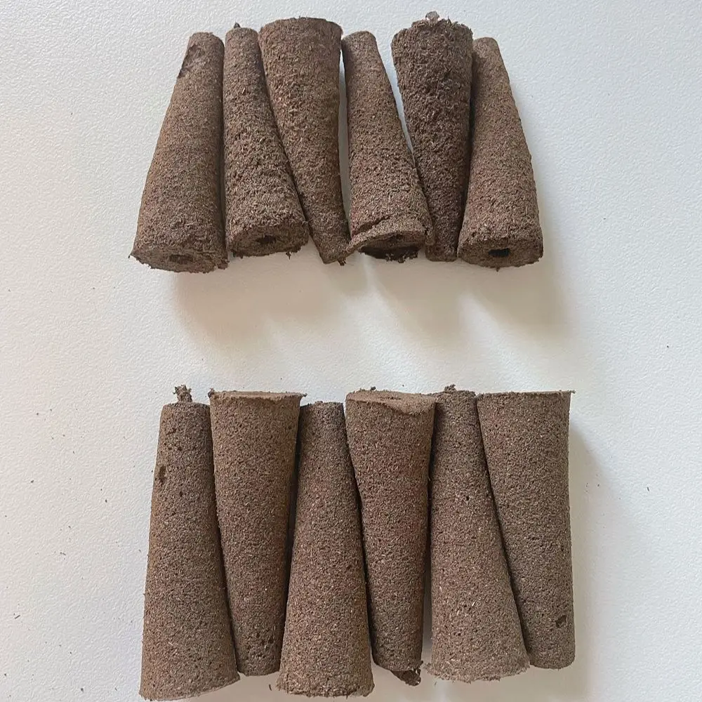 

Кронштейн для выращивания растений: Губка для беспочвенного выращивания и ухода за луковицами адениума (Rainbow Desert Rose), 60 шт.