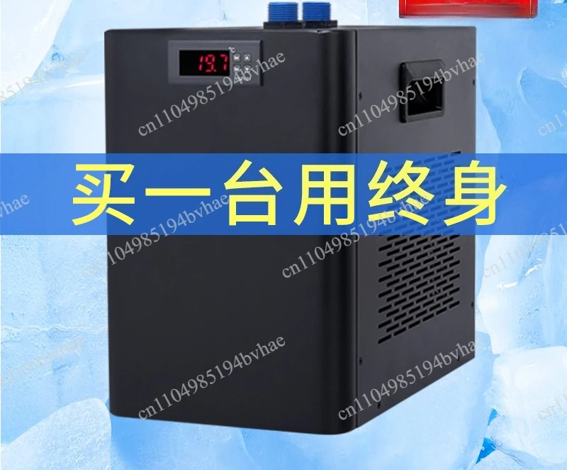 Cross-border YSZY-01 aquarium chiller, household small chiller, ice bath tub pool