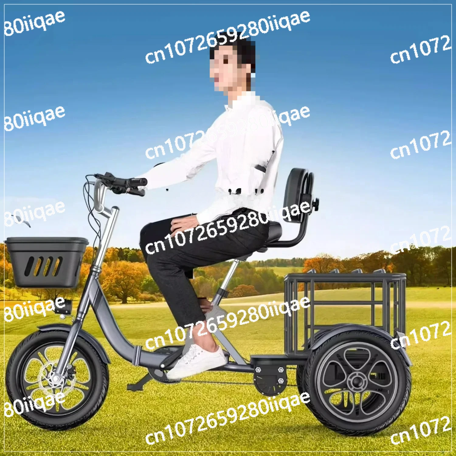 

Electric Tricycle for The Elderly To Help Pick Up Children Home Small Folding Scooter D80