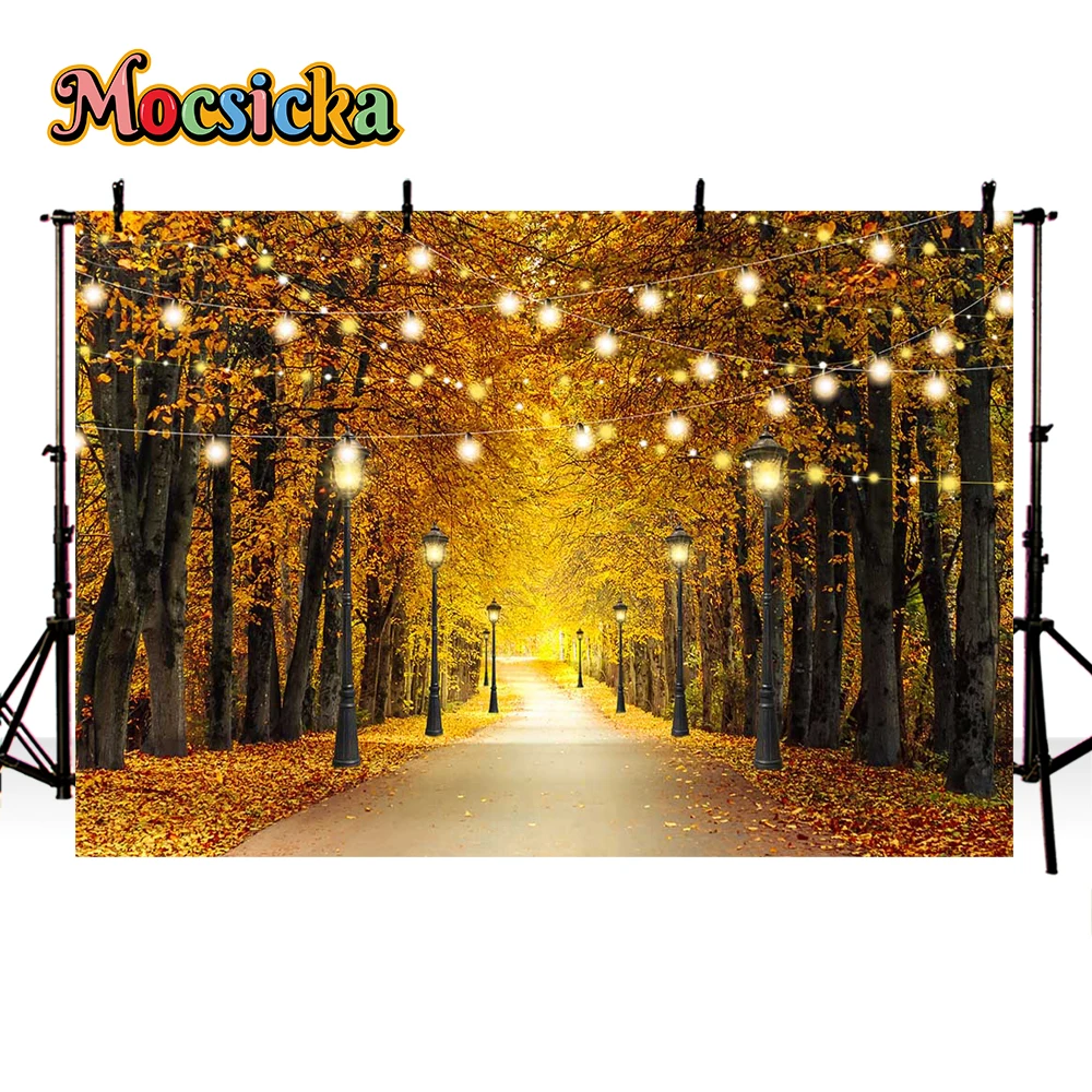 Autumn Forest Series Kids Photography Backgrounds Halloween Fall Leaves Portraits Portraits Baby Photo Banner Holiday Background